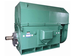 白山Y系列6KV高压电机